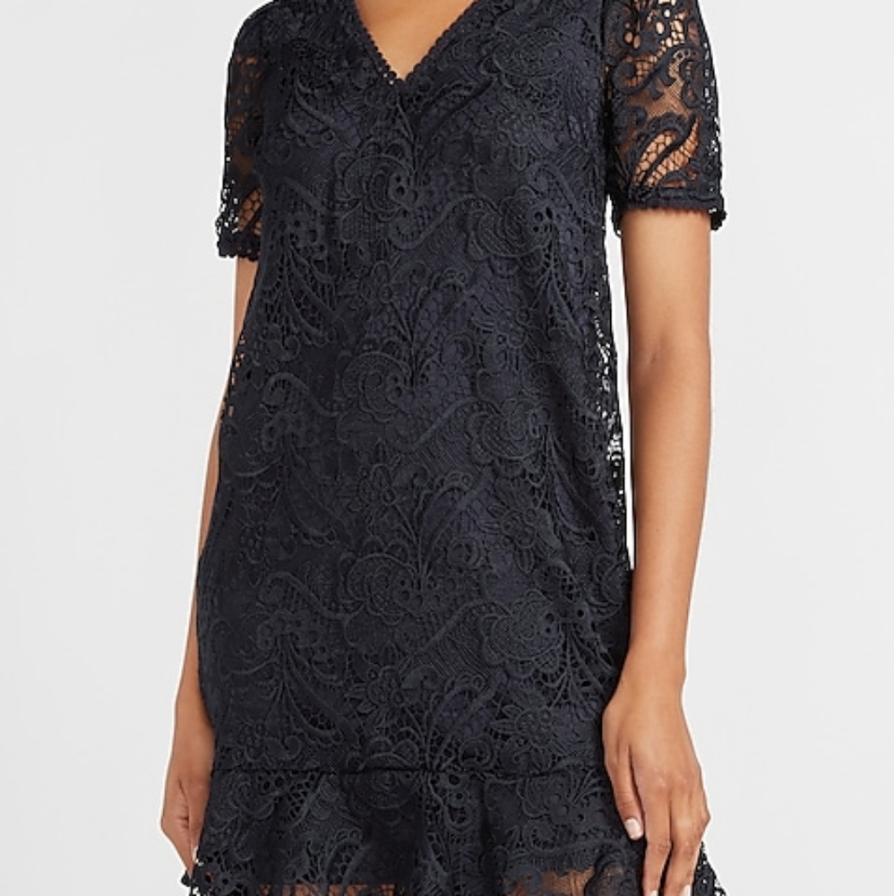 Express Lace Puff Sleeve Fit And Flare Dress